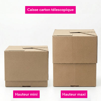Couvercle caisse carton télescopique 363 x 231 x 203 mm - OCCIPACK - SEA-312071